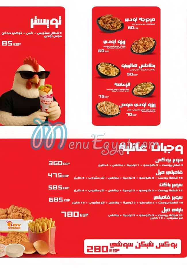 رقم اودي تشيكن مصر