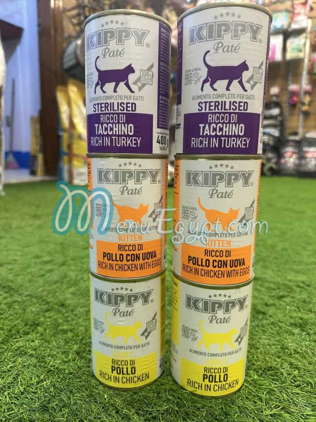 أو بيتس مصر