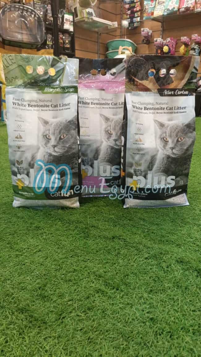 أو بيتس مصر الخط الساخن