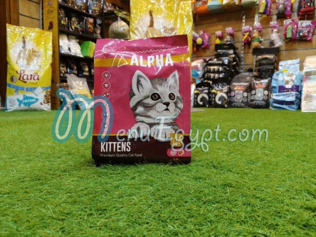 أو بيتس مصر