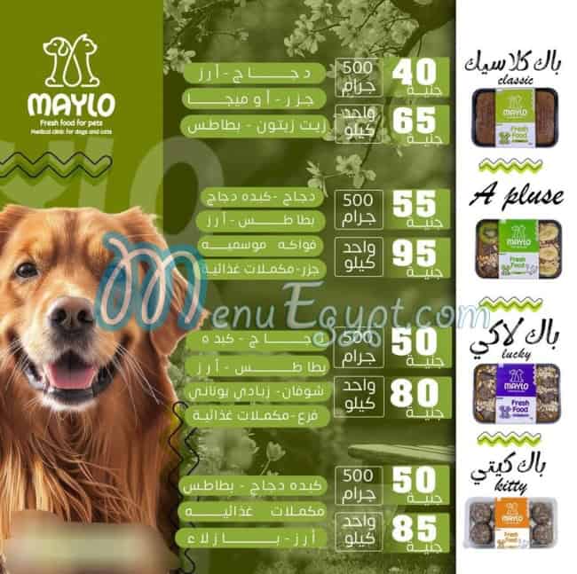 Panda Pets Shop egypt