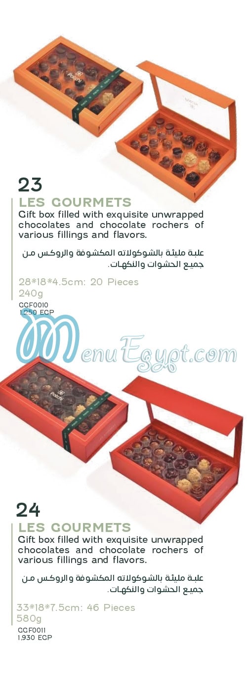 باتشى مصر