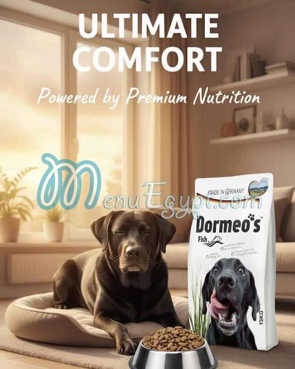 بوز ان بوز مصر