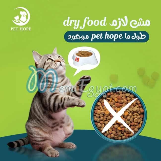 بيت هوب مصر الخط الساخن