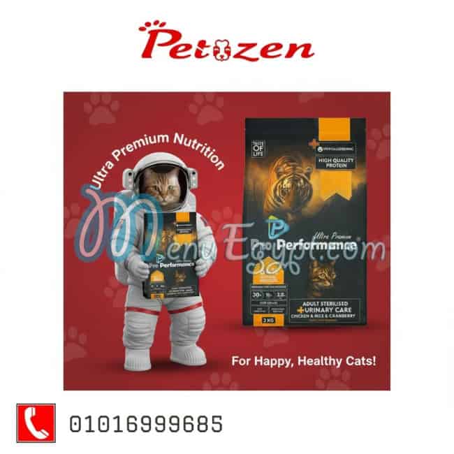 مطعم بيتيزن مصر