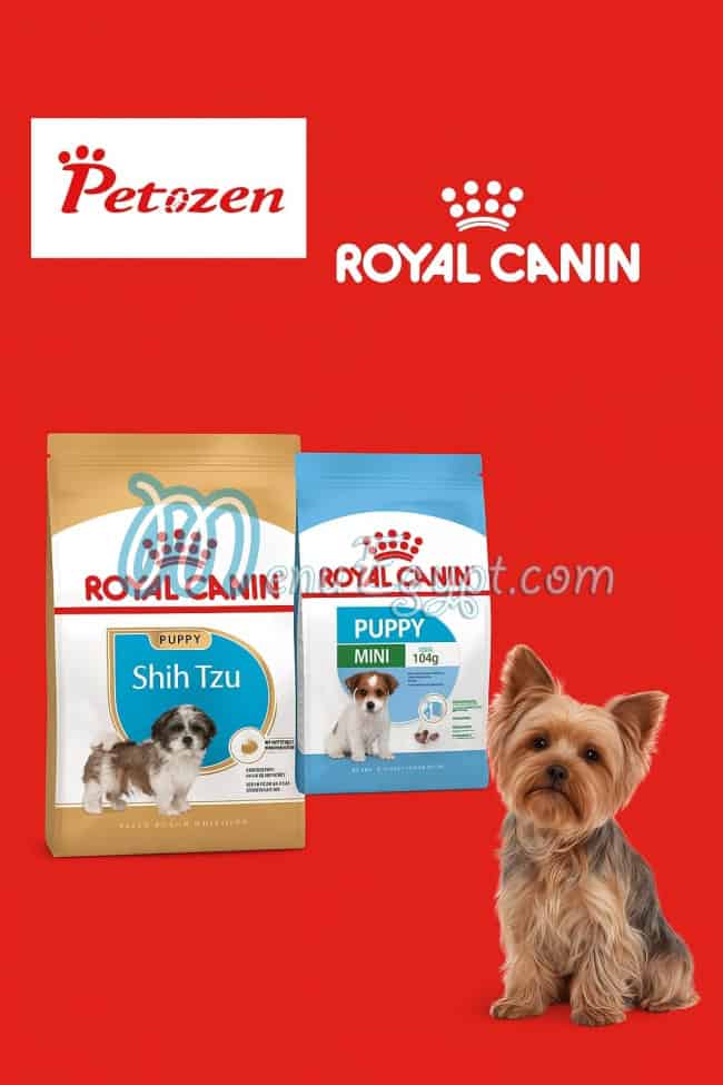 بيتيزن مصر الخط الساخن