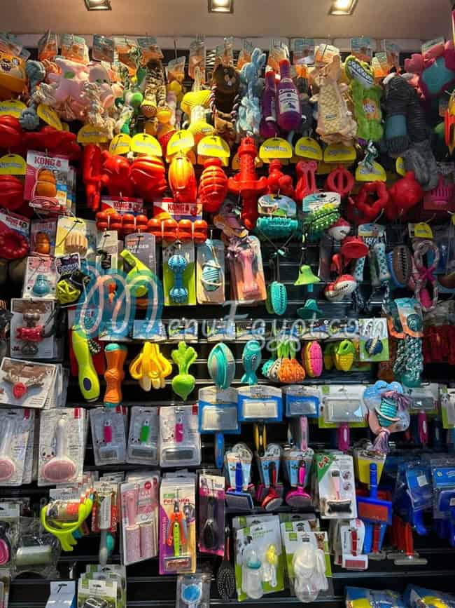 Pets and Pets menu Egypt 4