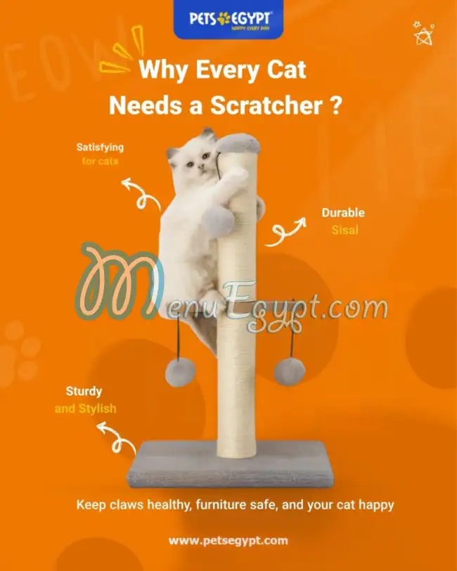 مطعم بيتس ايجيبت مصر