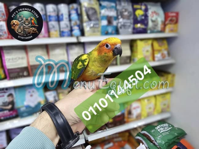 منيو بيتس فريندز