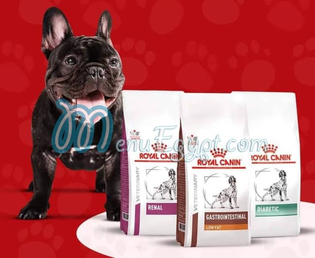 رقم مملكة الحيوانات الأليفة مصر