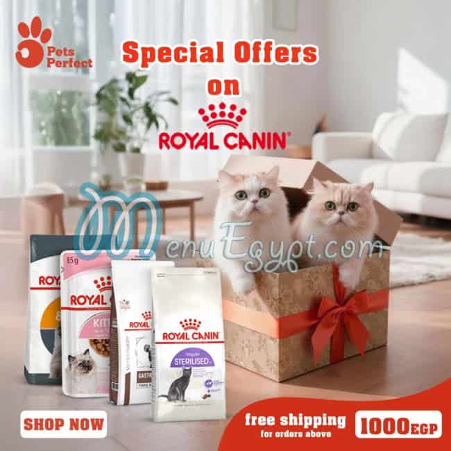 مطعم بيتس بيرفيكت مصر