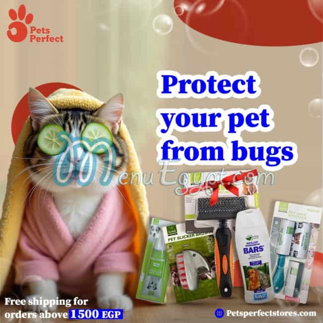 رقم بيتس بيرفيكت مصر