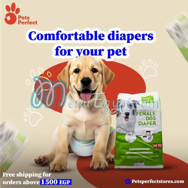 بيتس بيرفيكت مصر