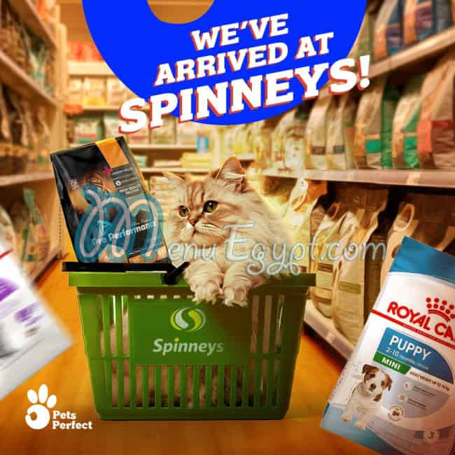 أسعار بيتس بيرفيكت مصر