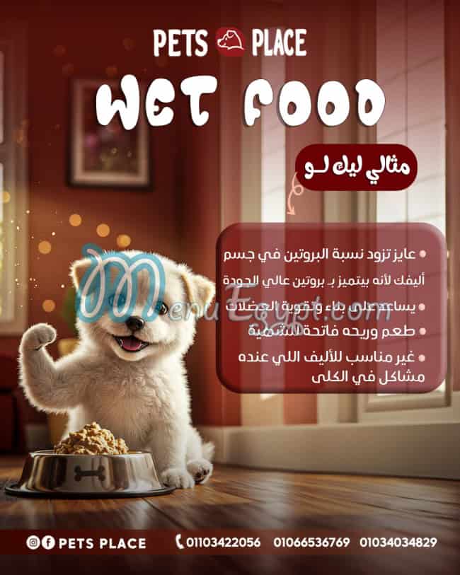 Pets place egypt