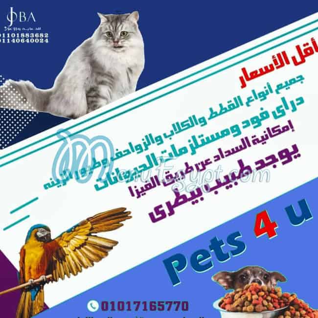 منيو بيتس فور يو