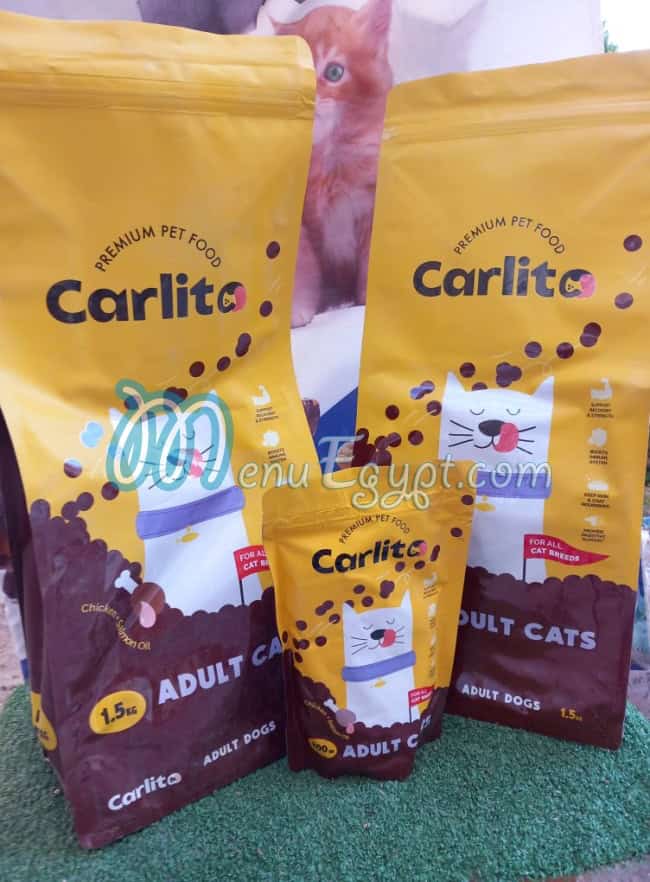 رقم بيتس فور يو مصر