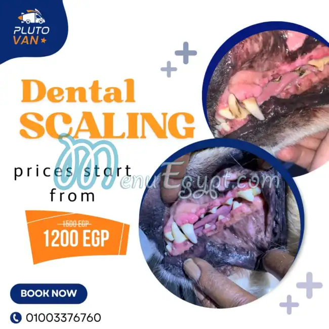 Pluto Pet Shop menu Egypt