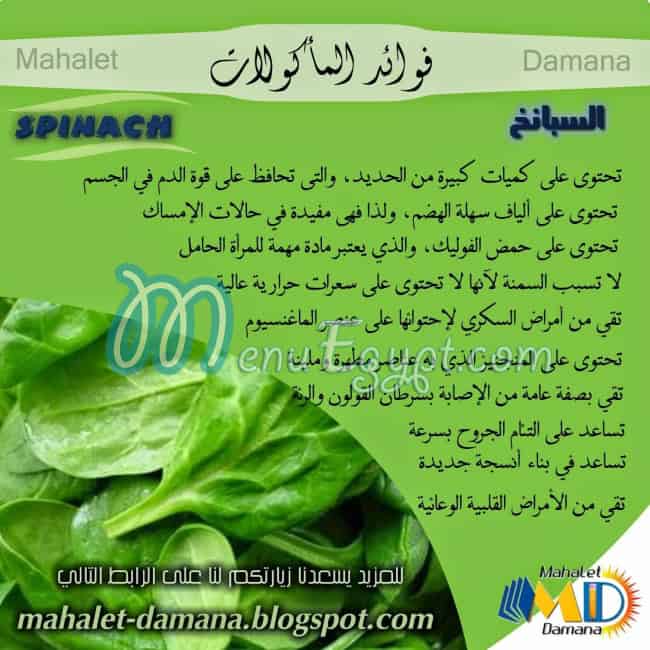 Popeye Spinach egypt