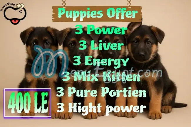 Puppy Gang delivery menu