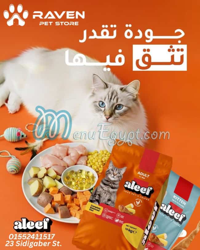 رافين بيت استور مصر