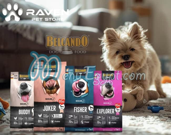 رافين بيت استور مصر الخط الساخن