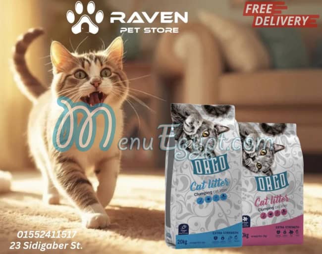 رقم رافين بيت استور مصر