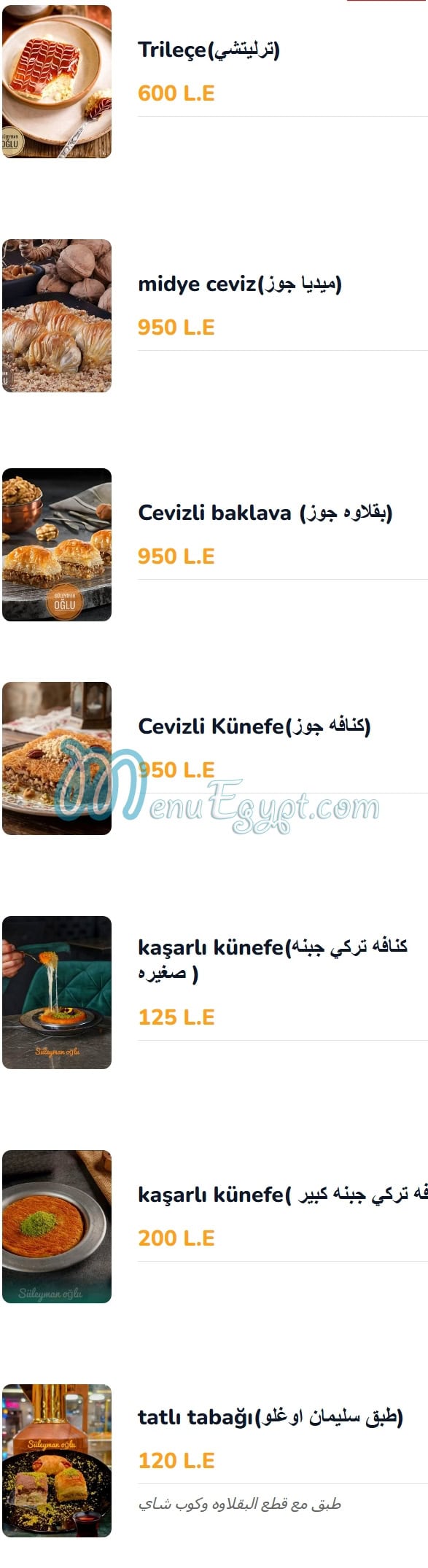 Süleyman oğlu egypt