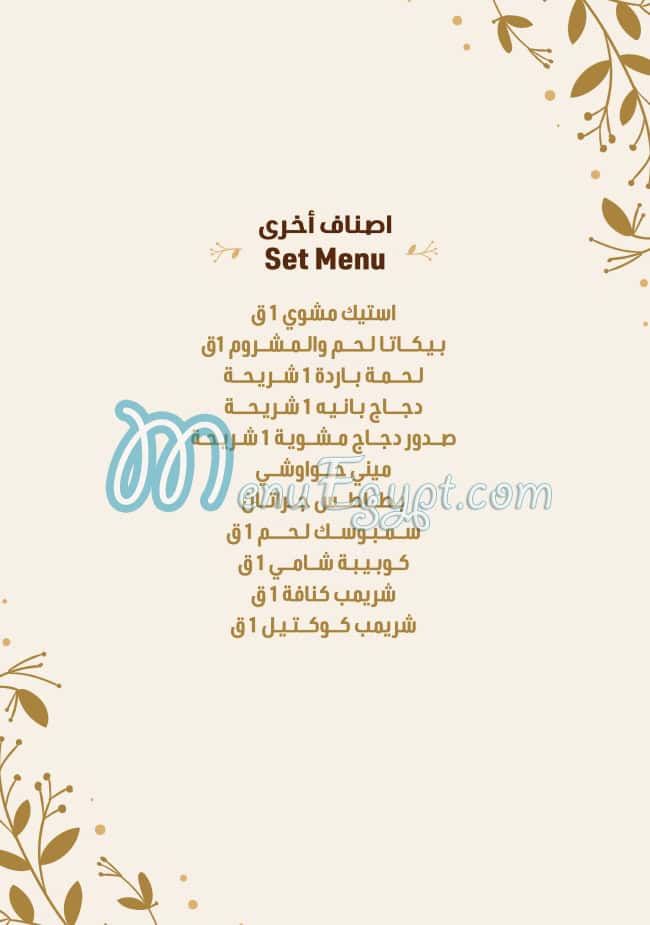 Saltana menu Egypt 2