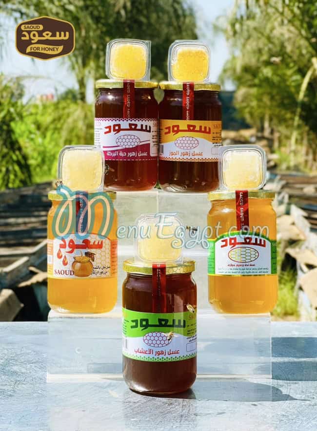 مطعم مناحل سعود مصر