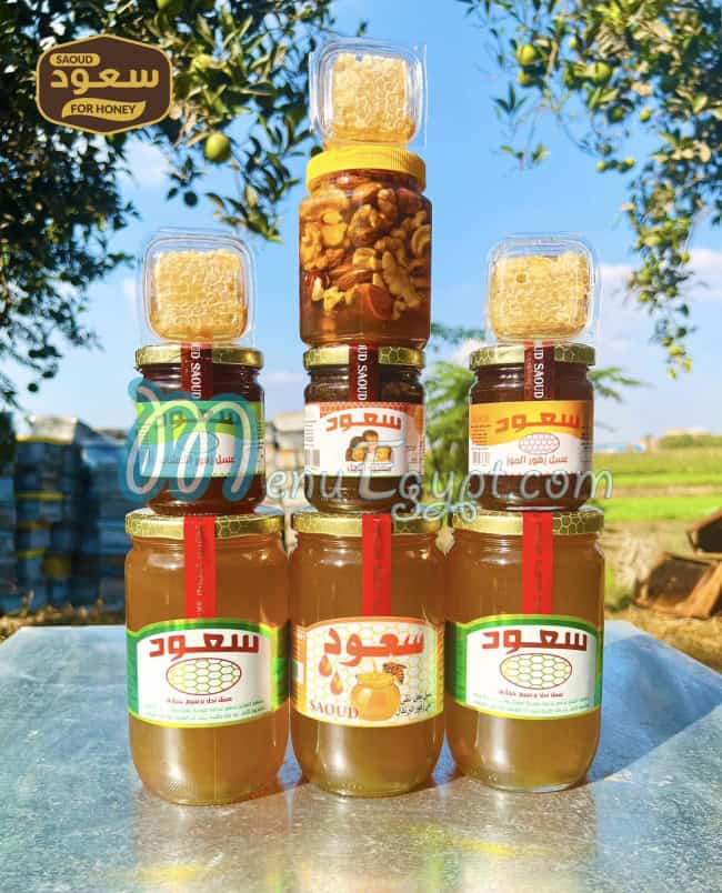 مناحل سعود مصر الخط الساخن