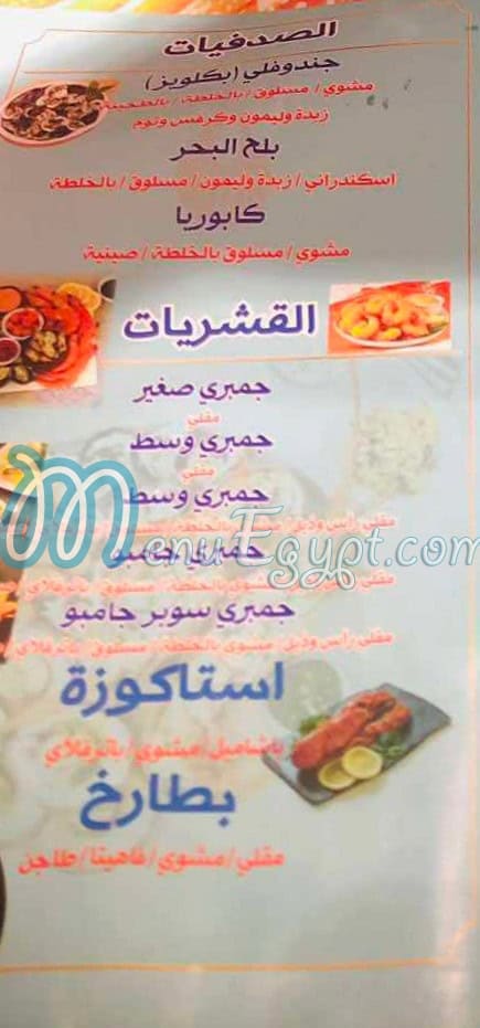 سى جمبرى مصر الخط الساخن