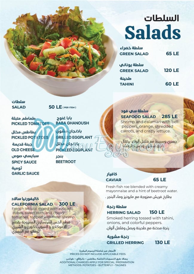 Seagull menu Egypt 7