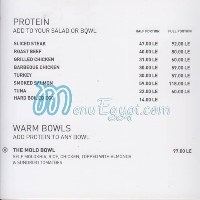 Self Health House menu Egypt 5