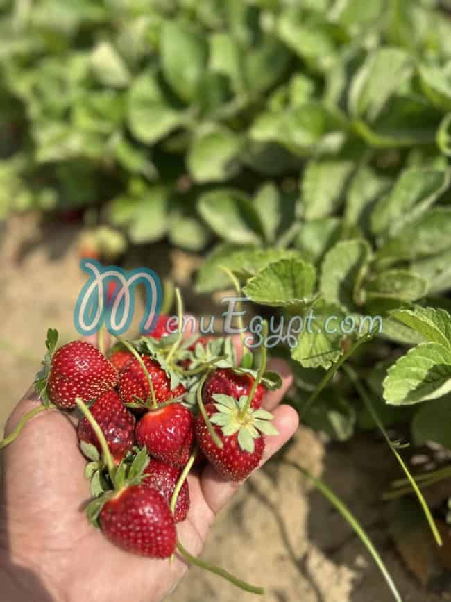 Shagie Farms menu prices