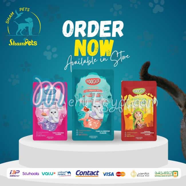 شام بيتس مصر الخط الساخن