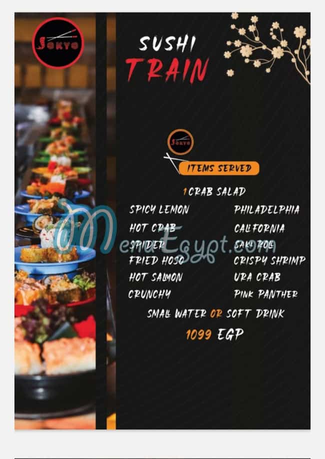 سوكيو مصر الخط الساخن