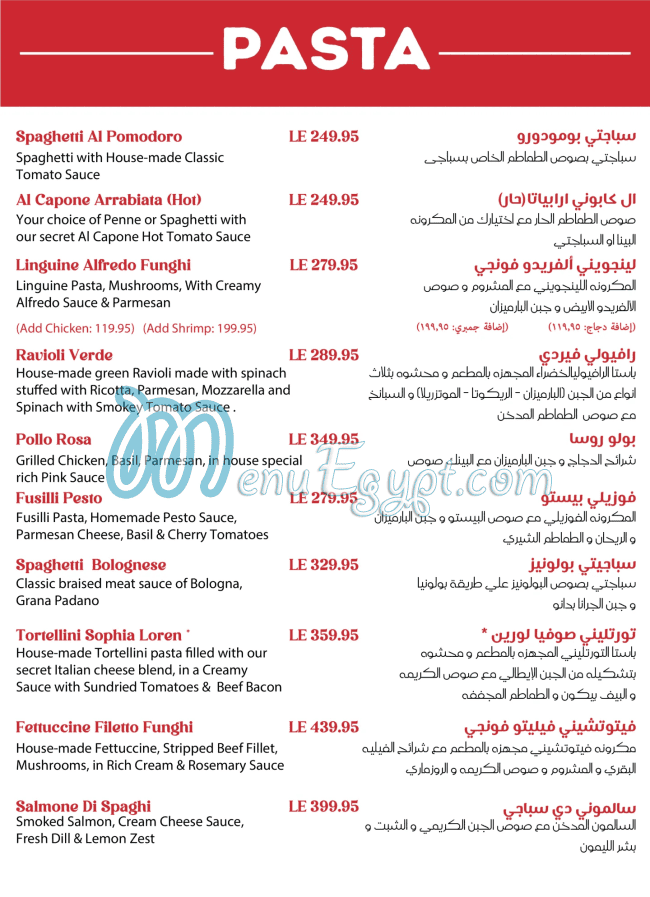 سباغي مصر الخط الساخن