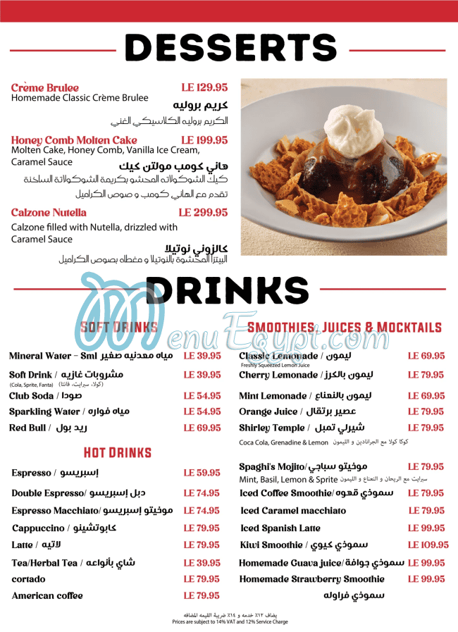 أسعار سباغي مصر