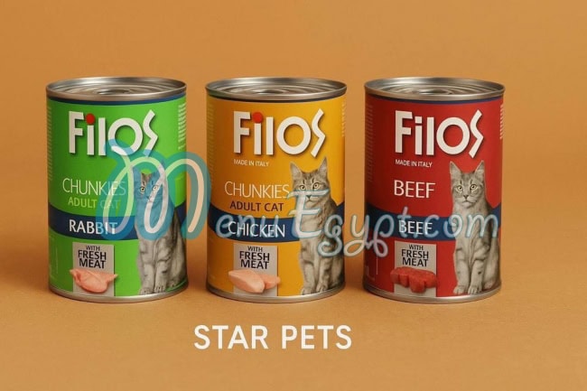 استار بيتس مصر