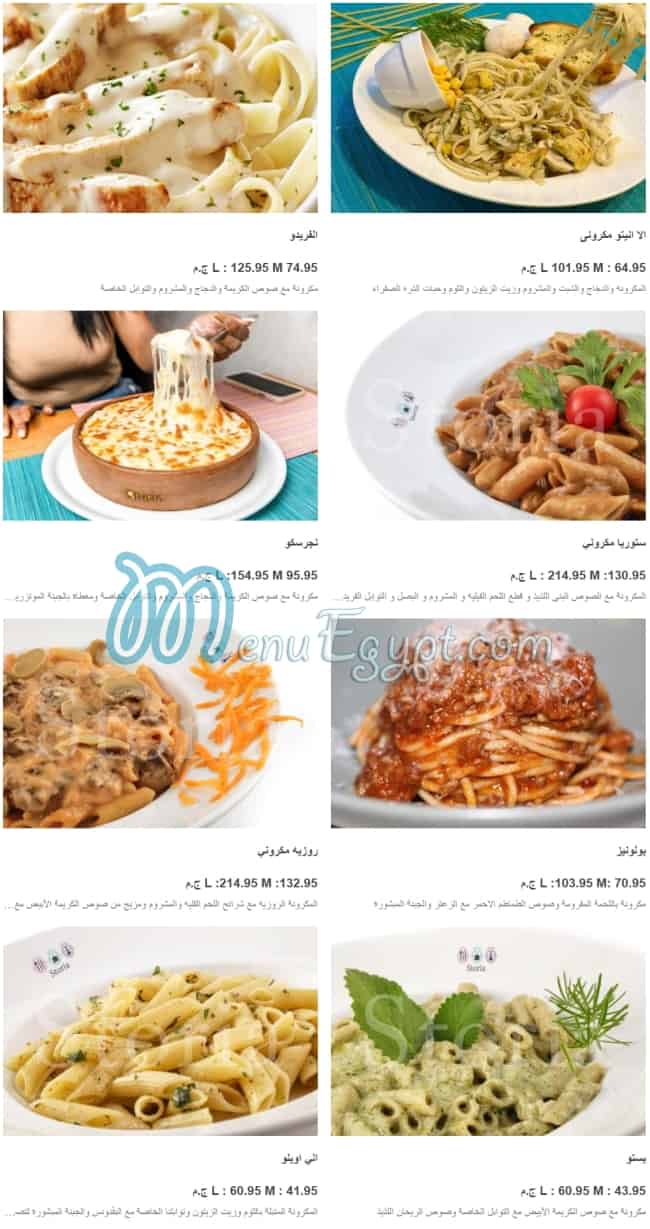 Menu delivery - hotline - Storia Cafe & Restaurant | منيو ورقم مطعم ...