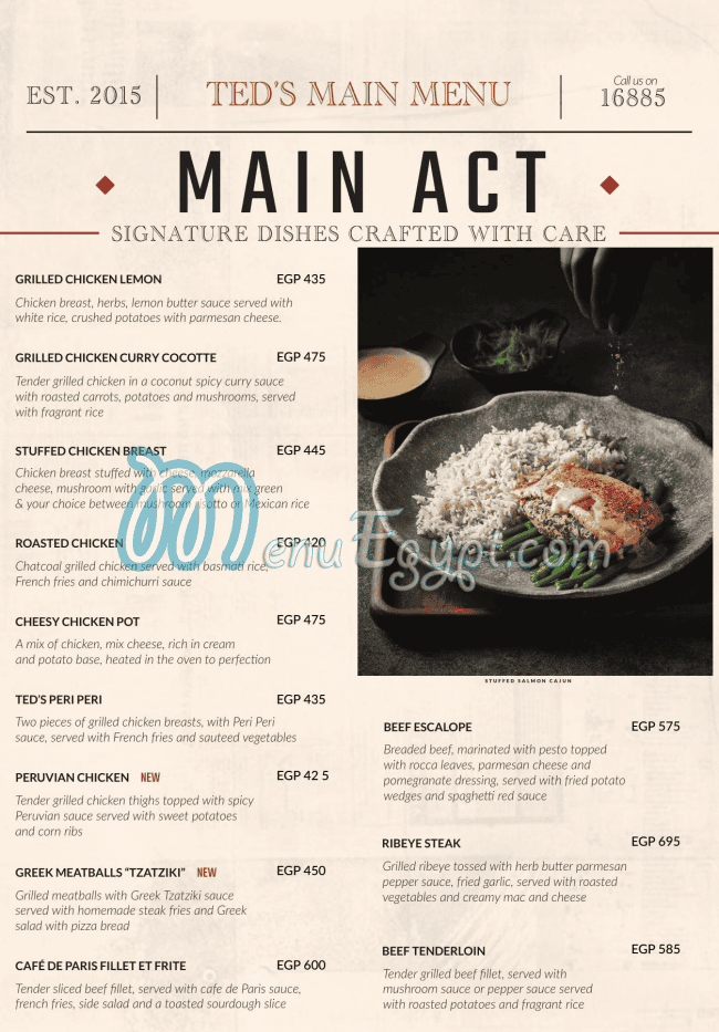 تيدز ايجيبت مصر