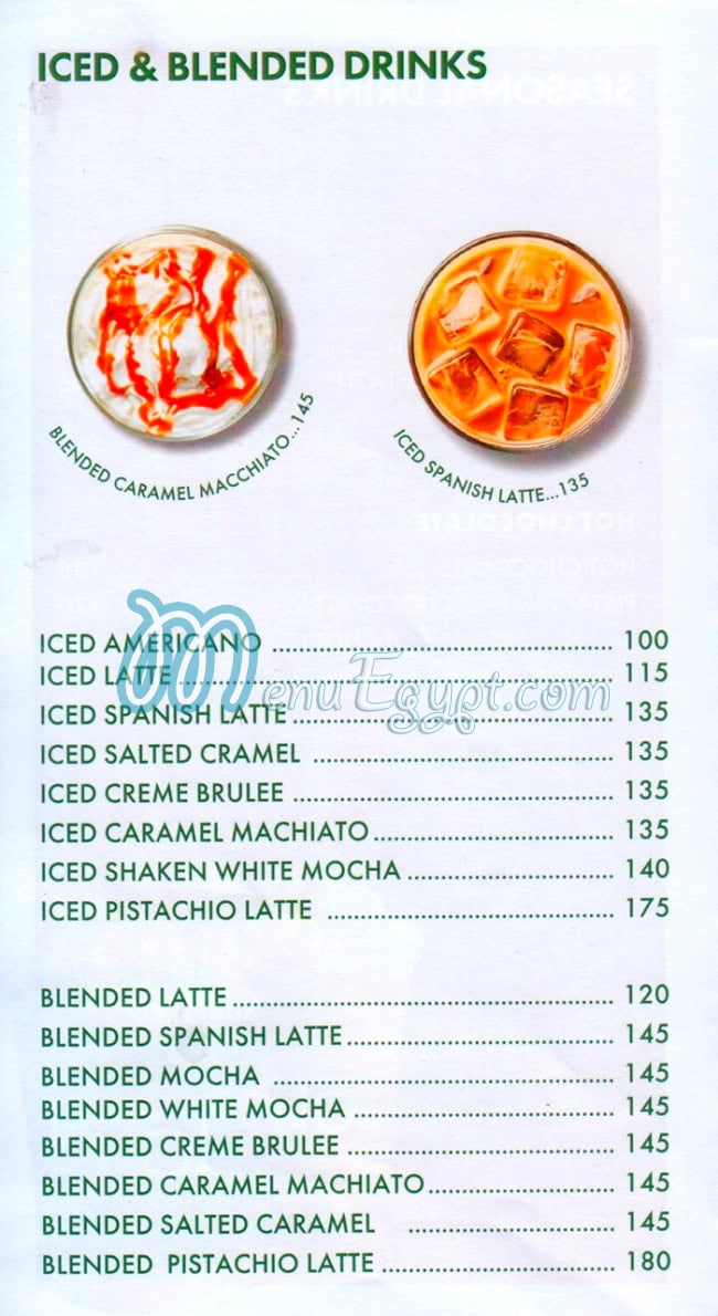 Town  Specialty egypt