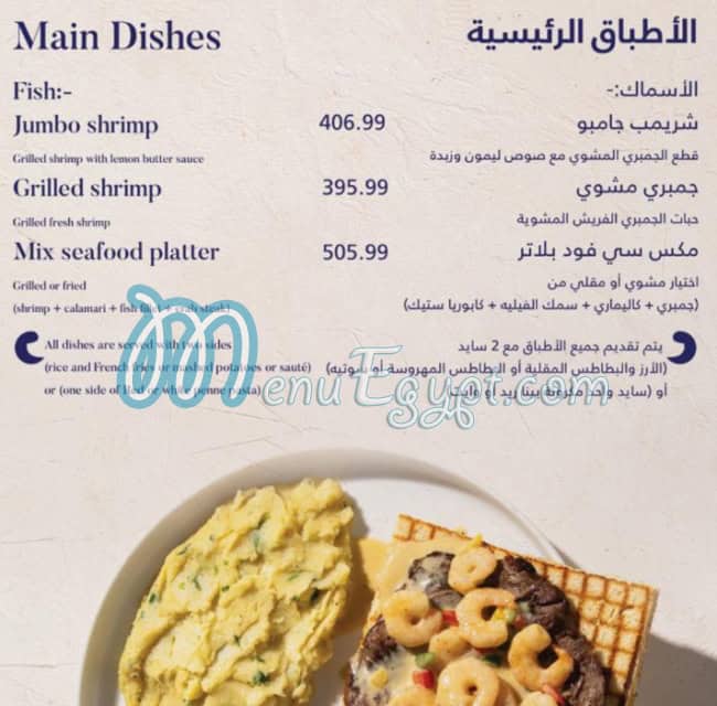 أسعار ويف مصر