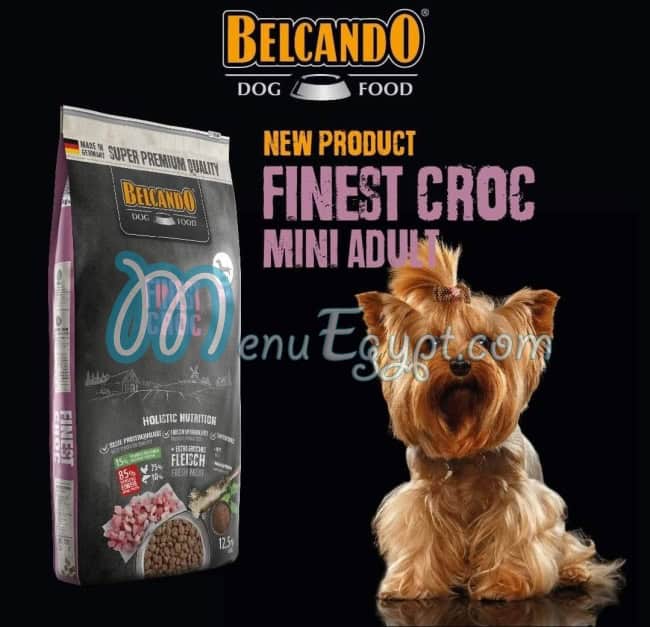 وينكا بيتس مصر منيو بالعربى