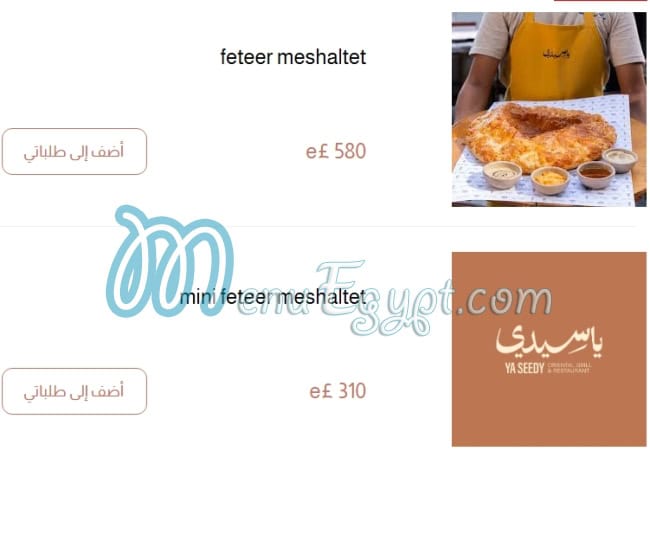 ياسيدي مصر الخط الساخن