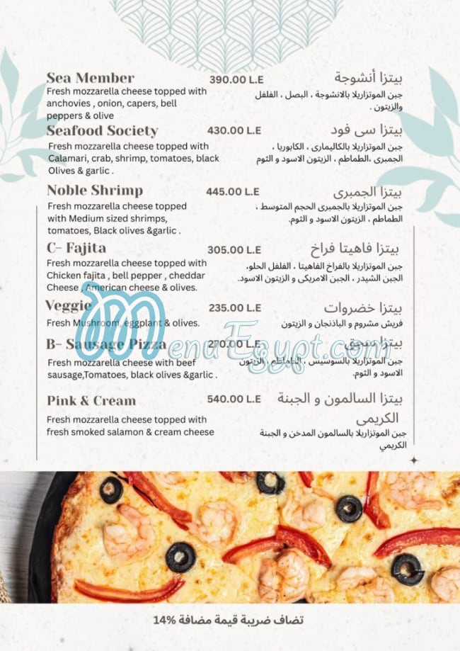 أسعار زانيلي مصر