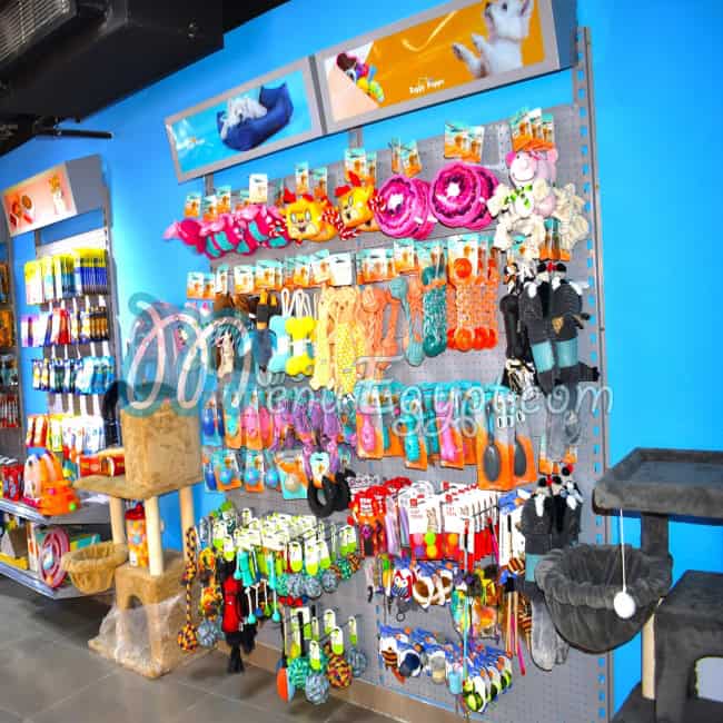 منيو زيجي بابس مصر 1