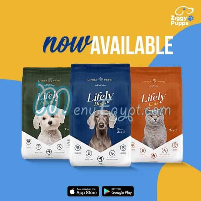 مطعم زيجي بابس مصر