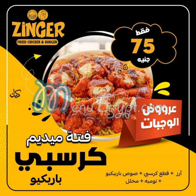 زنجر مصر الخط الساخن